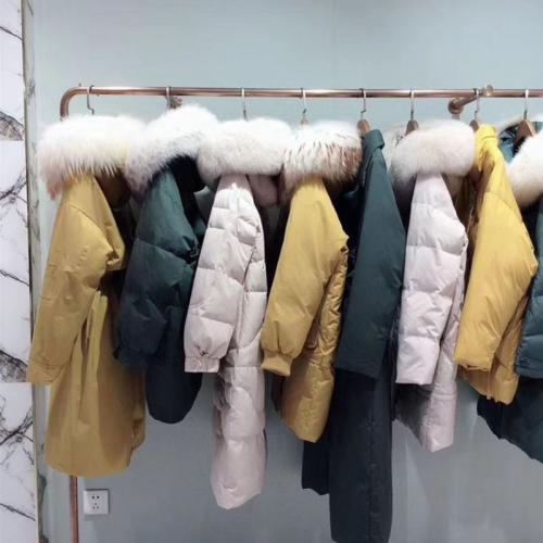 ´Q°f(ji)ݡq̼؛糣